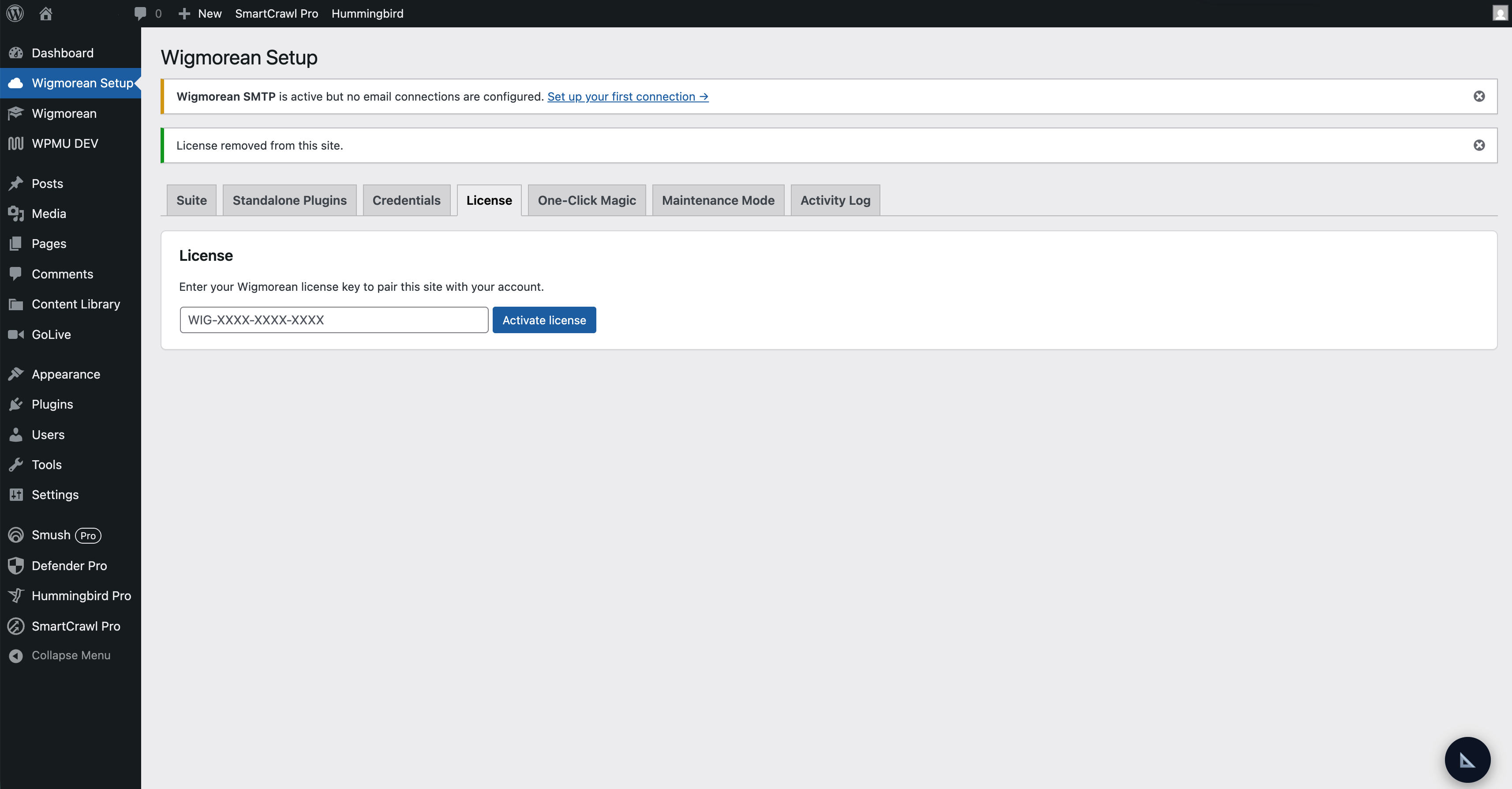 Entering a license key in the Wigmorean Setup License tab